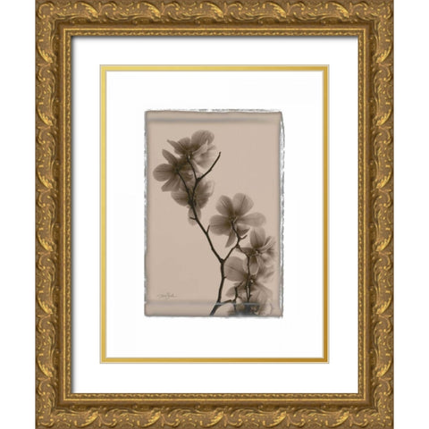 Magnolias Gold Ornate Wood Framed Art Print with Double Matting by Stimson, Diane