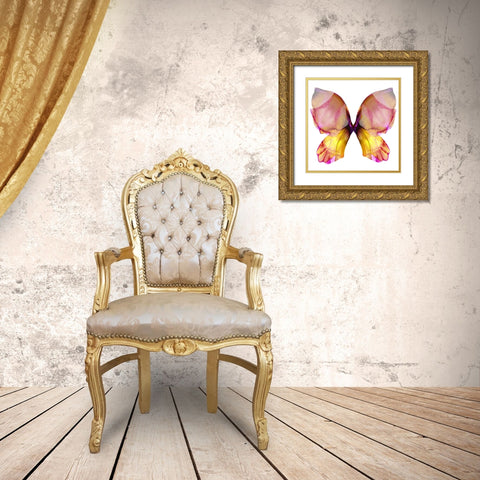 Floral Butterfly 4 Gold Ornate Wood Framed Art Print with Double Matting by Debs, Emma Catherine
