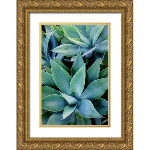 Deep Dive I Gold Ornate Wood Framed Art Print with Double Matting by Urquhart, Elizabeth