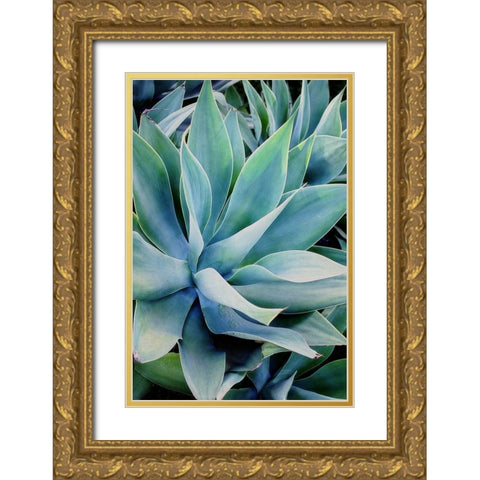 Deep Dive II Gold Ornate Wood Framed Art Print with Double Matting by Urquhart, Elizabeth