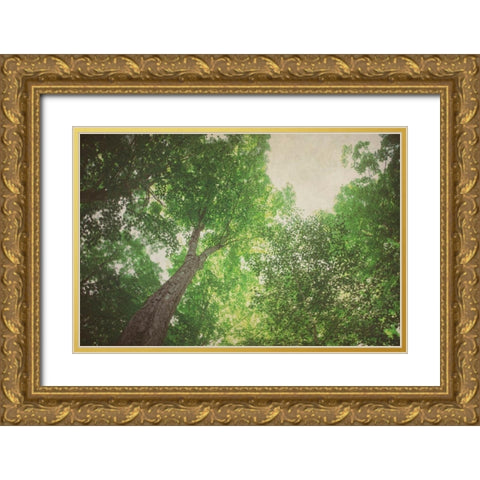 Emerald Canopy 1 Gold Ornate Wood Framed Art Print with Double Matting by Urquhart, Elizabeth