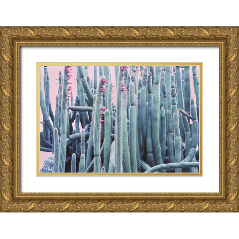 Pink Crush IV Gold Ornate Wood Framed Art Print with Double Matting by Urquhart, Elizabeth