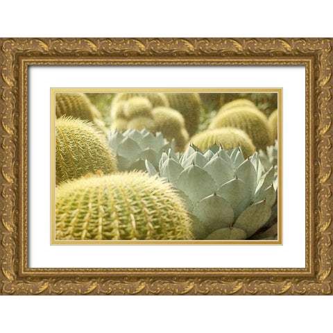 Pincushions 1 Gold Ornate Wood Framed Art Print with Double Matting by Urquhart, Elizabeth
