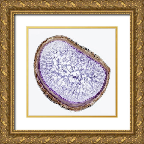 Geode 8 Gold Ornate Wood Framed Art Print with Double Matting by Urquhart, Elizabeth
