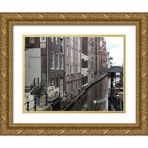 Swan Amsterdam Gold Ornate Wood Framed Art Print with Double Matting by Frances, Stephanie