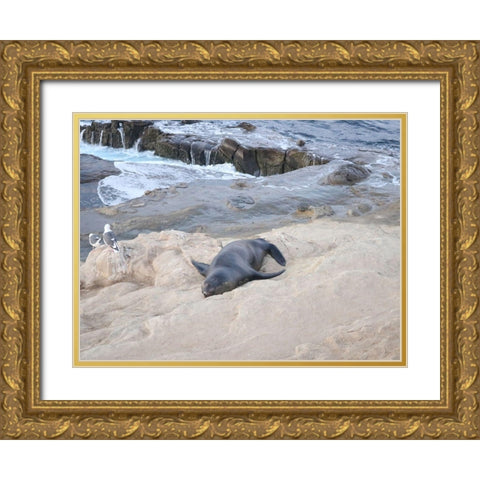 Sealion Gold Ornate Wood Framed Art Print with Double Matting by Frances, Stephanie