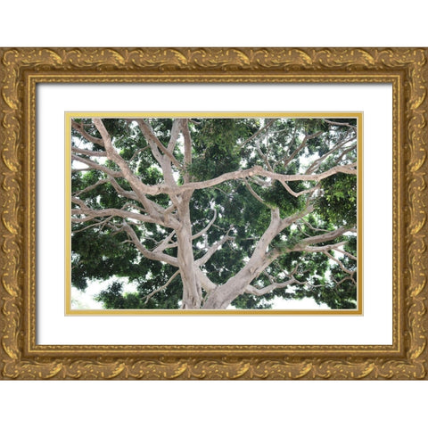 Tree Gold Ornate Wood Framed Art Print with Double Matting by Frances, Stephanie