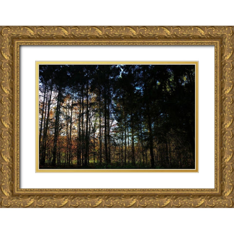 Over There 2 Gold Ornate Wood Framed Art Print with Double Matting by Frances, Stephanie