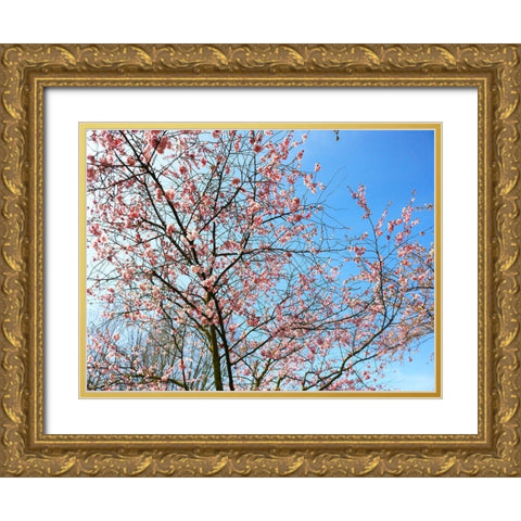 Blossom Pink Trees Gold Ornate Wood Framed Art Print with Double Matting by Frances, Stephanie