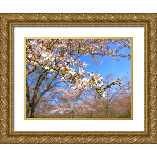 Perspective Image