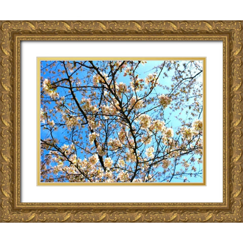 Yellow Blossoms 2 Gold Ornate Wood Framed Art Print with Double Matting by Frances, Stephanie