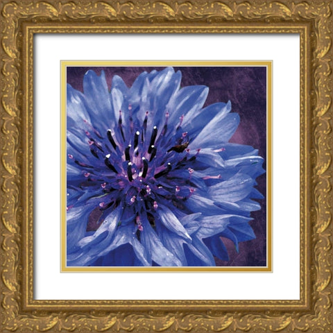 Purple Flower Gold Ornate Wood Framed Art Print with Double Matting by Gibbons, Lauren