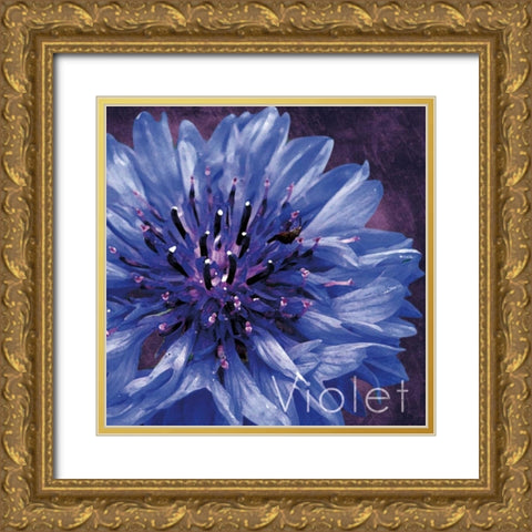 Violet Flower Gold Ornate Wood Framed Art Print with Double Matting by Gibbons, Lauren