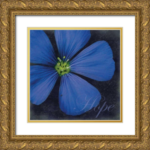 Hope Flower Gold Ornate Wood Framed Art Print with Double Matting by Gibbons, Lauren