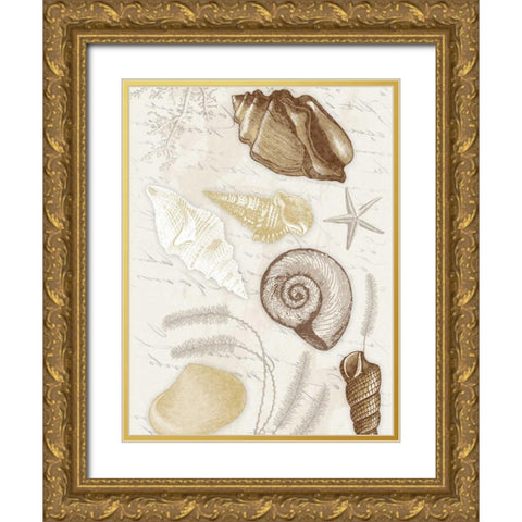 Shells Mate Gold Ornate Wood Framed Art Print with Double Matting by Grey, Jace