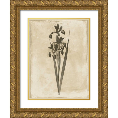 Earthy floral 2 Gold Ornate Wood Framed Art Print with Double Matting by Grey, Jace