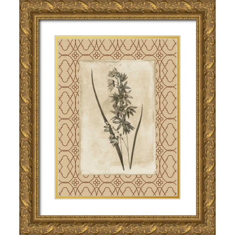 Floral bordered Gold Ornate Wood Framed Art Print with Double Matting by Grey, Jace