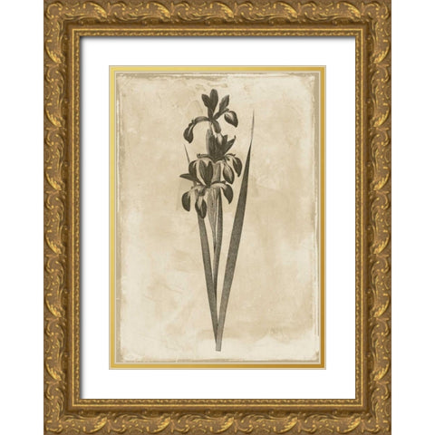 Floral Earthtone Two Gold Ornate Wood Framed Art Print with Double Matting by Grey, Jace