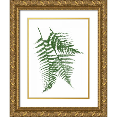 Green Ferns Mate Gold Ornate Wood Framed Art Print with Double Matting by Grey, Jace