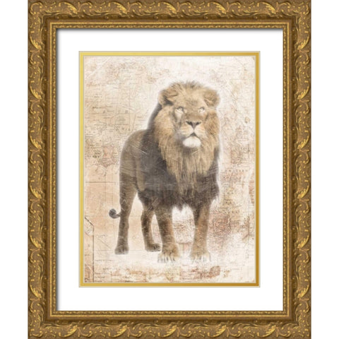 African Lion Gold Ornate Wood Framed Art Print with Double Matting by Grey, Jace
