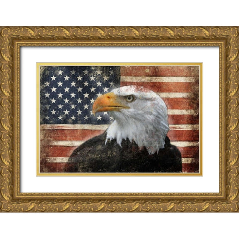 Eagle and Flag Gold Ornate Wood Framed Art Print with Double Matting by Grey, Jace