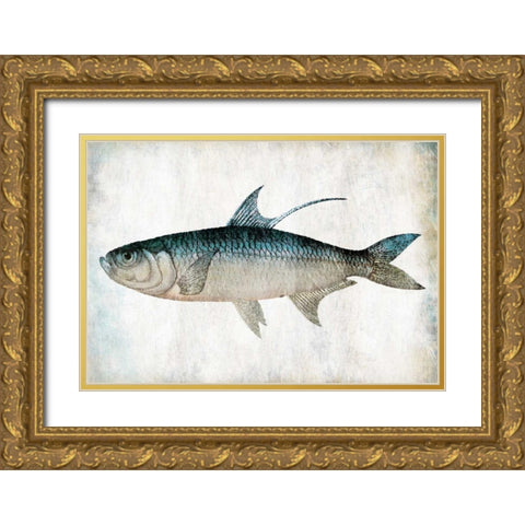 Blue Fish Gold Ornate Wood Framed Art Print with Double Matting by Grey, Jace
