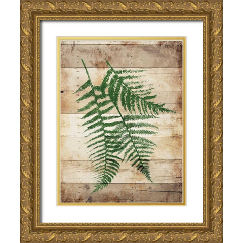 Ferns On Wood Mate Gold Ornate Wood Framed Art Print with Double Matting by Grey, Jace
