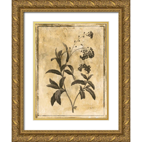 Stencil Floral Mate Gold Ornate Wood Framed Art Print with Double Matting by Grey, Jace
