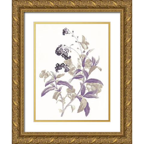 Lavender Flowers Two Gold Ornate Wood Framed Art Print with Double Matting by Grey, Jace