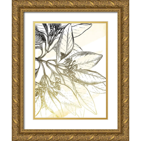 Fade Botanicals Gold Ornate Wood Framed Art Print with Double Matting by Grey, Jace