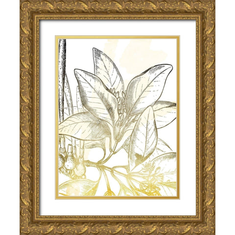 Fade Botanicals Mate Gold Ornate Wood Framed Art Print with Double Matting by Grey, Jace