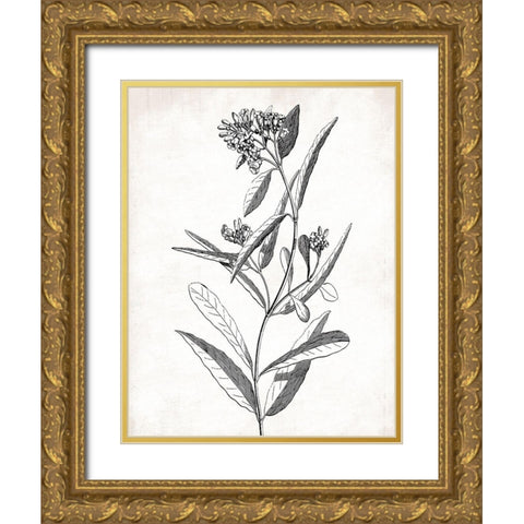 Cream Black Florals Gold Ornate Wood Framed Art Print with Double Matting by Grey, Jace