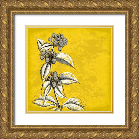 Flowers 3 Gold Ornate Wood Framed Art Print with Double Matting by Grey, Jace