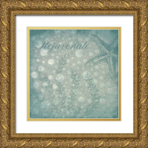 Rejuvenate bubbles Gold Ornate Wood Framed Art Print with Double Matting by Grey, Jace