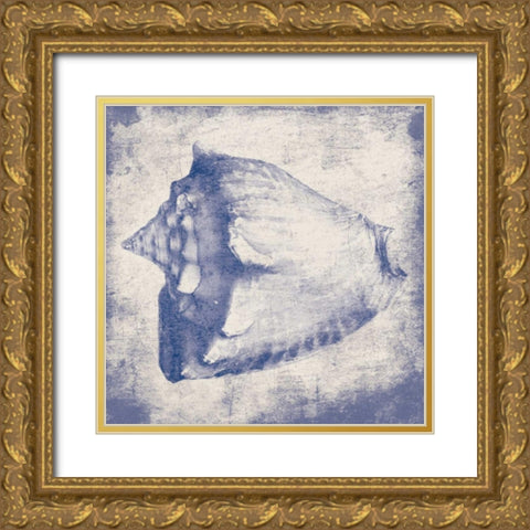 Conch shell Gold Ornate Wood Framed Art Print with Double Matting by Grey, Jace
