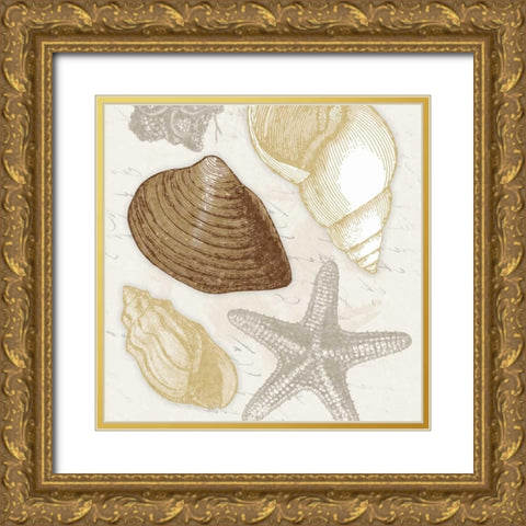 Shells 3 Gold Ornate Wood Framed Art Print with Double Matting by Grey, Jace