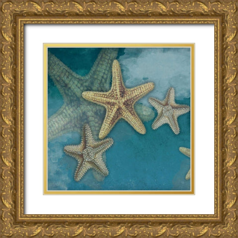 Starfish Gold Ornate Wood Framed Art Print with Double Matting by Grey, Jace