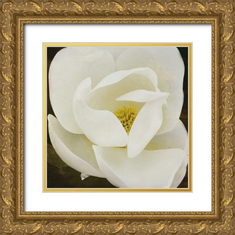 MAG Gold Ornate Wood Framed Art Print with Double Matting by Grey, Jace