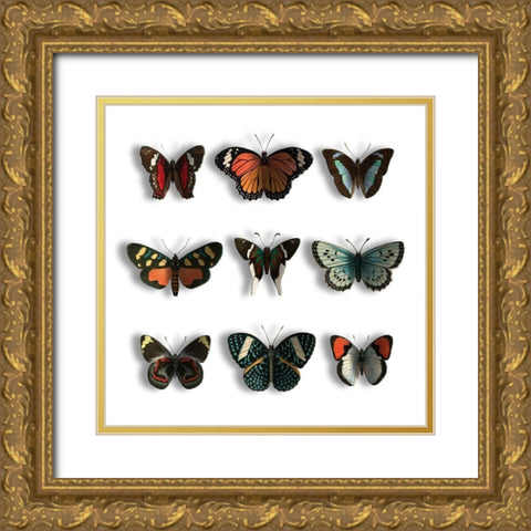 Floating Butterflies Gold Ornate Wood Framed Art Print with Double Matting by Grey, Jace