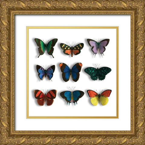 Floating Butterflies Mate Gold Ornate Wood Framed Art Print with Double Matting by Grey, Jace