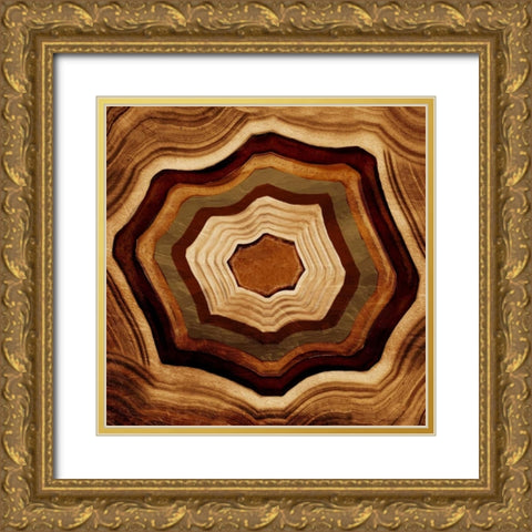 Agate Rings Gold Ornate Wood Framed Art Print with Double Matting by Grey, Jace