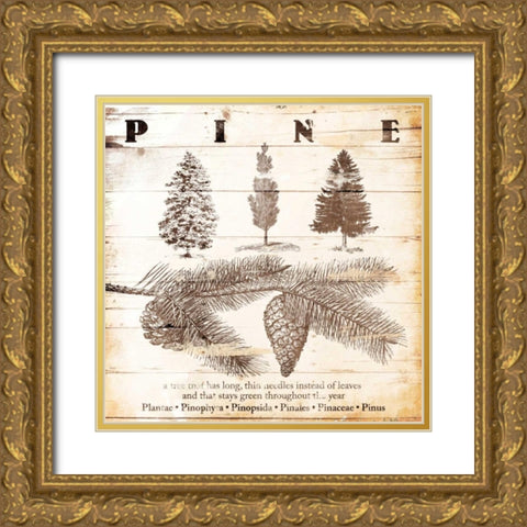 All About Pine Gold Ornate Wood Framed Art Print with Double Matting by Grey, Jace