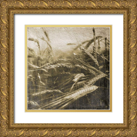 Perspective Image