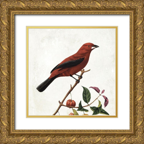 Lovely Birds Gold Ornate Wood Framed Art Print with Double Matting by Grey, Jace