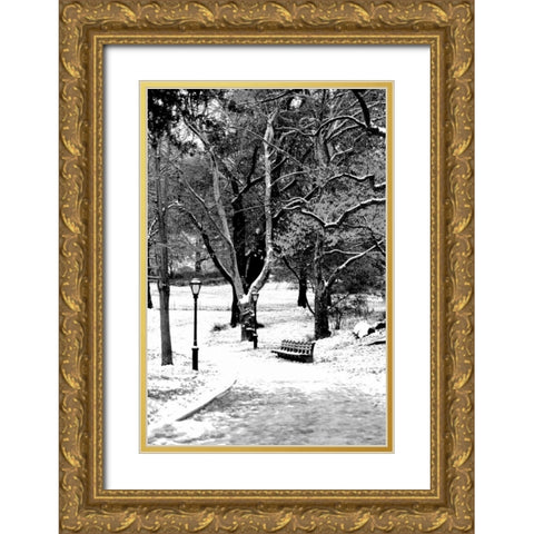 Central Park Snowy Scene Gold Ornate Wood Framed Art Print with Double Matting by Grey, Jace