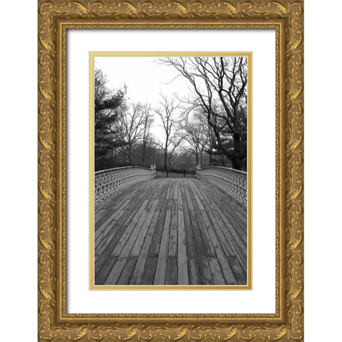 Central Park Bridge 4 Gold Ornate Wood Framed Art Print with Double Matting by Grey, Jace