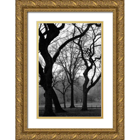 Central Park Dancing Trees Gold Ornate Wood Framed Art Print with Double Matting by Grey, Jace
