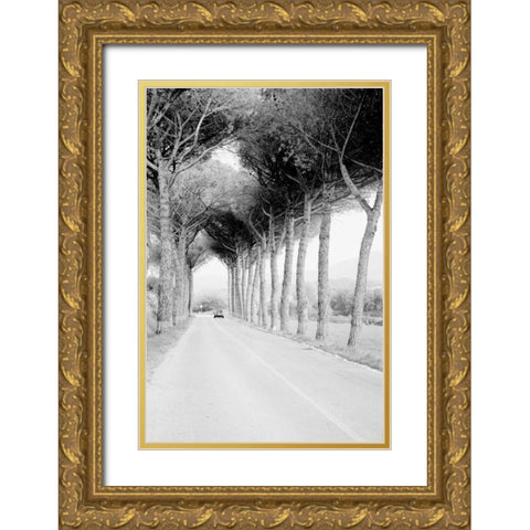 Italy 33 Gold Ornate Wood Framed Art Print with Double Matting by Grey, Jace