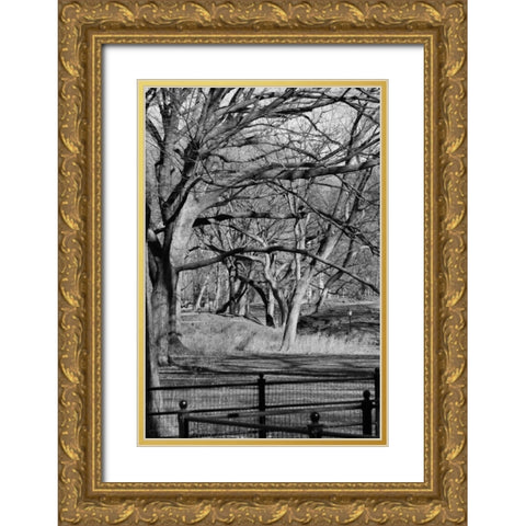 Central Park Image 1745 Gold Ornate Wood Framed Art Print with Double Matting by Grey, Jace