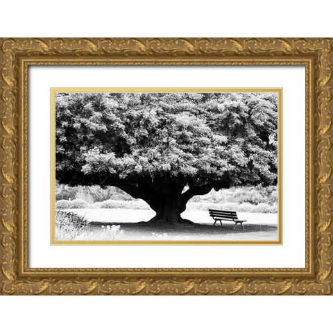 LA Arboretum Gold Ornate Wood Framed Art Print with Double Matting by Grey, Jace